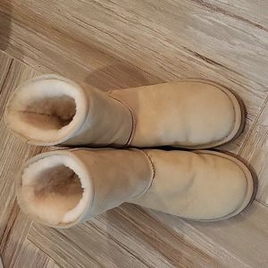 Woman's Size 8 Ugg Boot